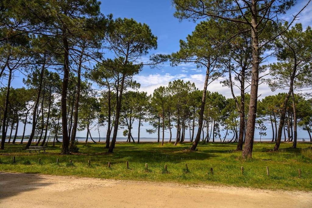Appartement Des Grands Lacs Sanguinet Dış mekan fotoğraf