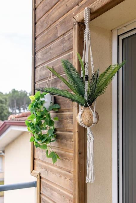 Appartement Des Grands Lacs Sanguinet Dış mekan fotoğraf